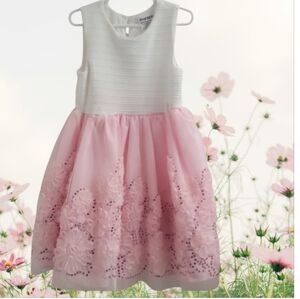 Blueberi Boulevard 3D Floral Rosettes Details Girls Dress White Bodice Pink Sz 6